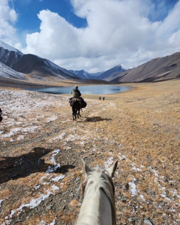 Horse Riding Experience